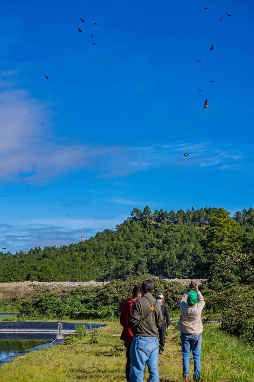 Club de observación de Aves de Santa Rosa de Copán